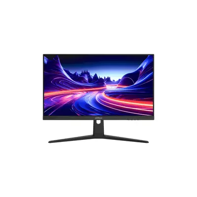 Dahua 25" LM25-E231B monitor