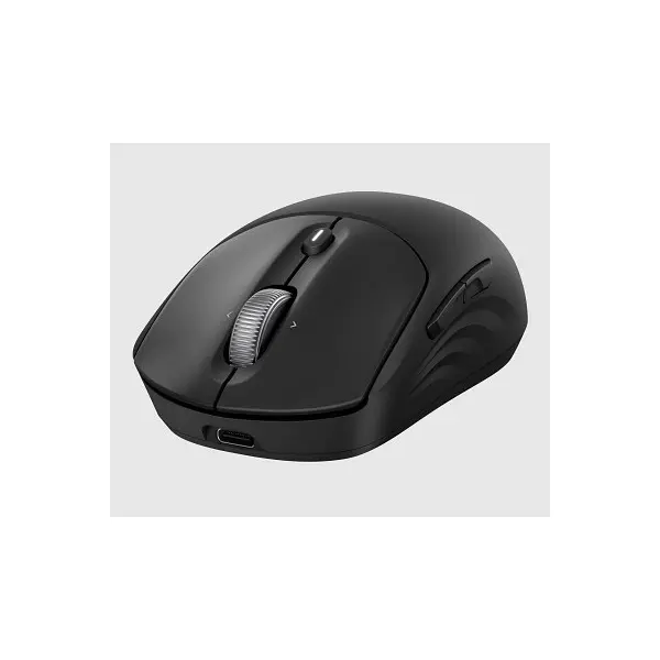 HP vezeték nélküli egér Rechargeable 700 - fekete