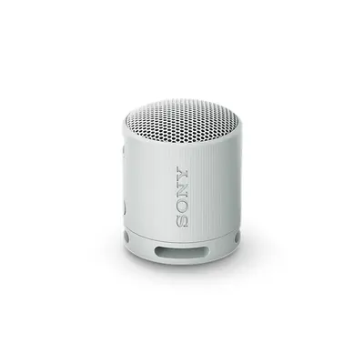 SONY SRSXB100H.CE7 Hordozható Vezeték nélküli Hangszóró, Szürke