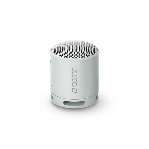 SONY SRSXB100H.CE7 Hordozható Vezeték nélküli Hangszóró, Szürke