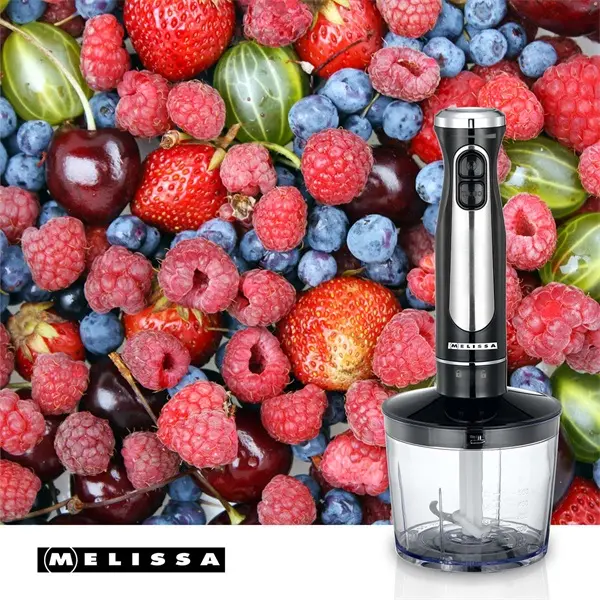 MELISSA botmixer készlet, 600 W | 2 sebességfokozat | Változtatható sebességbeállítás | Mini aprító | Habverő | Turmix – 6. kép