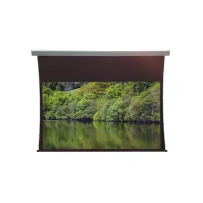 MEDIUM Oldalfeszített vászon 237x148 cm 110" 16:10