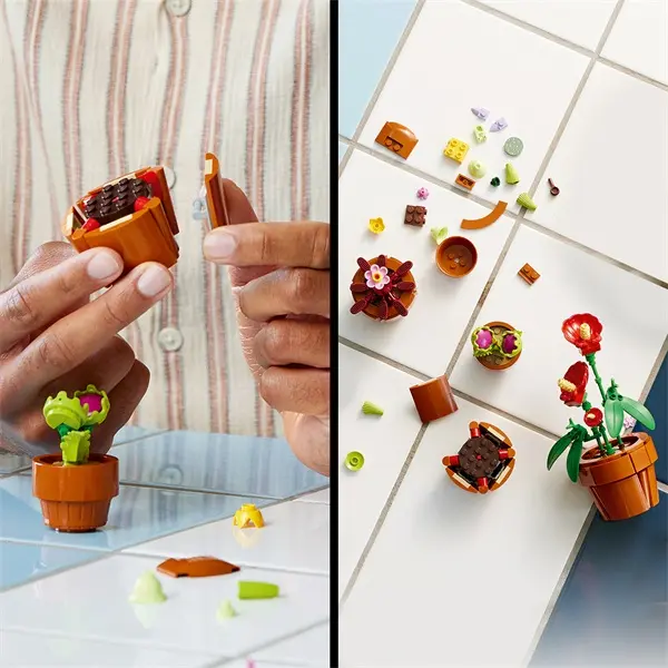 LEGO® Botanicals Apró cserepes növények építőkészlet felnőtteknek 10329 – 5. kép