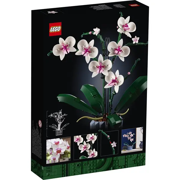LEGO® Botanicals Orchidea 10311 – 2. kép