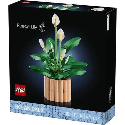 LEGO® Botanicals Vitorlavirág, virágdekoráció 11504 – 2. kép