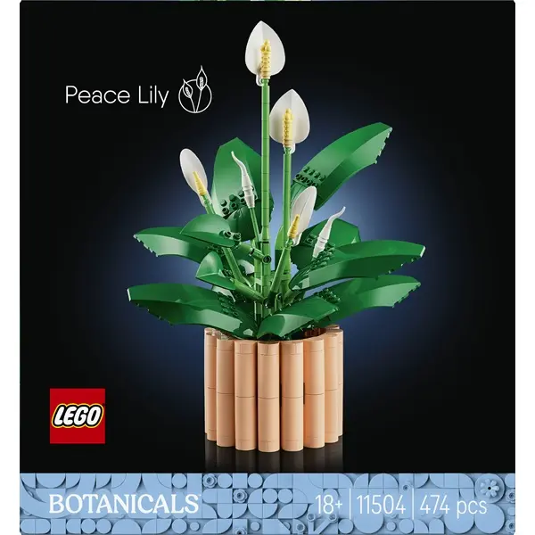 LEGO® Botanicals Vitorlavirág, virágdekoráció 11504 – 3. kép