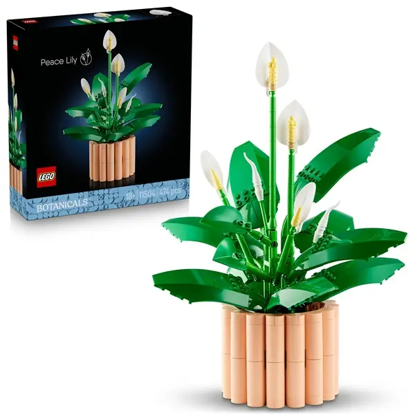 LEGO® Botanicals Vitorlavirág, virágdekoráció 11504 – 4. kép