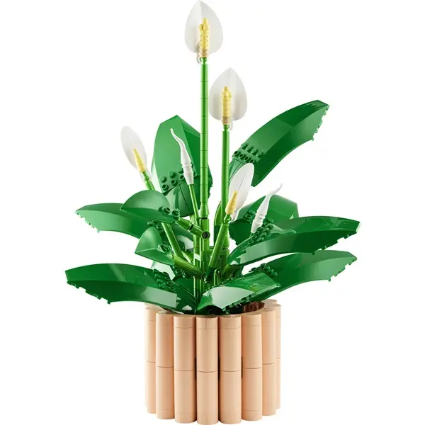 LEGO® Botanicals Vitorlavirág, virágdekoráció 11504 – 5. kép