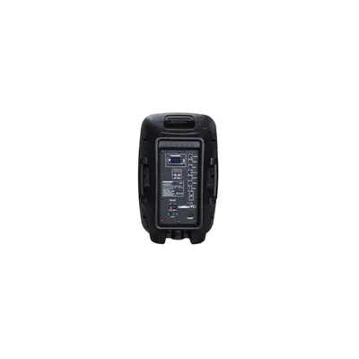 BLAUPUNKT PA10 Hordozható Bluetooth audio rendszer, 600W, RMS, FM, AUX, 1 mikrofon, Fekete (RTVBLAS006) – 2. kép
