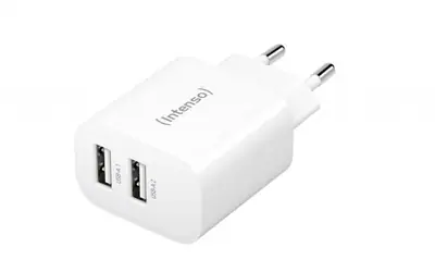 Intenso W24AA 2x USB-A Power Adapter White