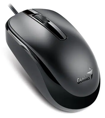 Genius DX-120 Mouse Black Type-C
