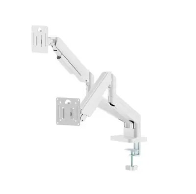 Gembird Desk mounted adjustable double monitor arm 17"-32" White