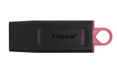 USB Flash Ram 256GB Kingston DTX USB 3.2 Gen1