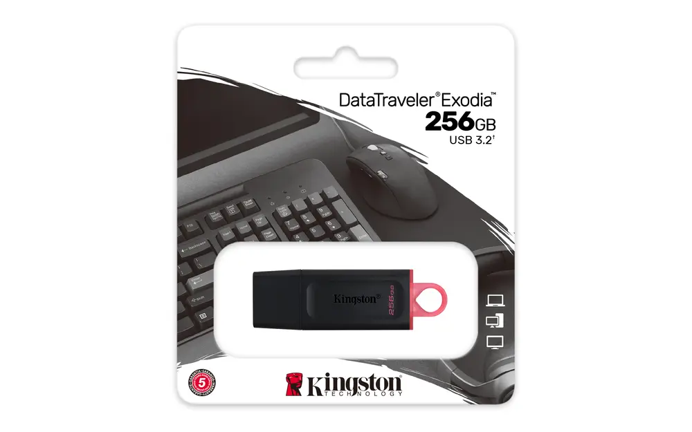 USB Flash Ram 256GB Kingston DTX USB 3.2 Gen1 – 6. kép