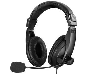 Sandberg Fejhallgató - Saver USB Headset Large (USB; mikrofon; hangerő szabályzó; 1,8m kábel; fekete)