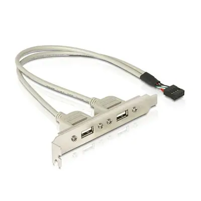 Delock USB-A Pinheader 9pin -> 2db USB-A 2.0 F/F hátlapi kivezetés 0.3m