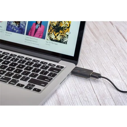 ifi iSilencer+ CA USB-C -> USB-A 3.0 M/F zavarszűrő fekete – 6. kép
